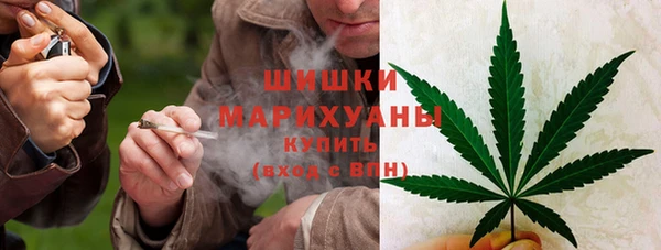 дурь Алзамай