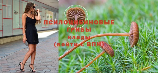 дурь Алзамай