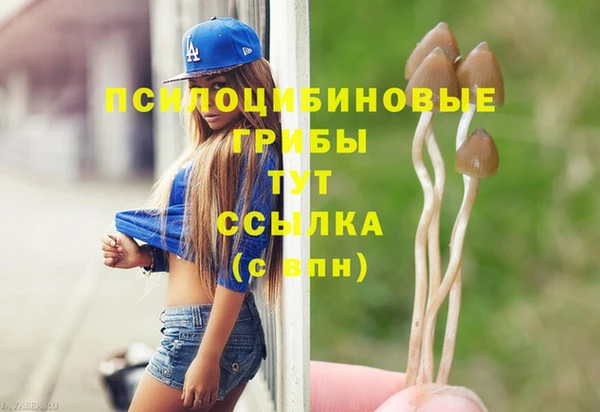 а пвп мука Алексин