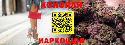 прущие грибы Ставрополь