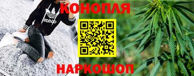 прущие грибы Ставрополь