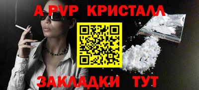 прущие грибы Ставрополь
