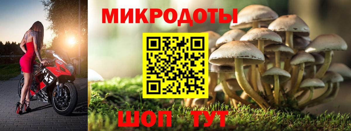 Псилоцибиновые грибы мицелий Глазов