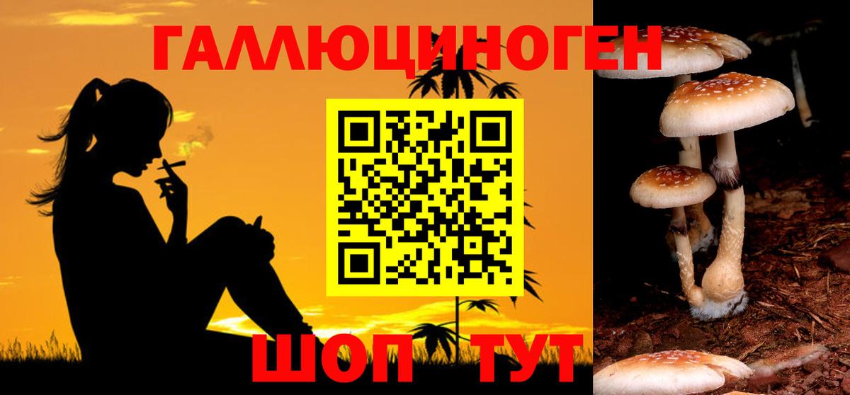 Галлюциногенные грибы Psilocybe  Псилоцибиновые грибы ЛСД  Глазов  Вход с VPN 